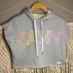 Calvin Klein Gray Hoodie with Multicolor Logo